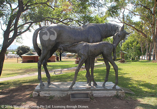 The Mare and Foal sculpture by Gabriel Sterk in Elizabeth Park, Scone.