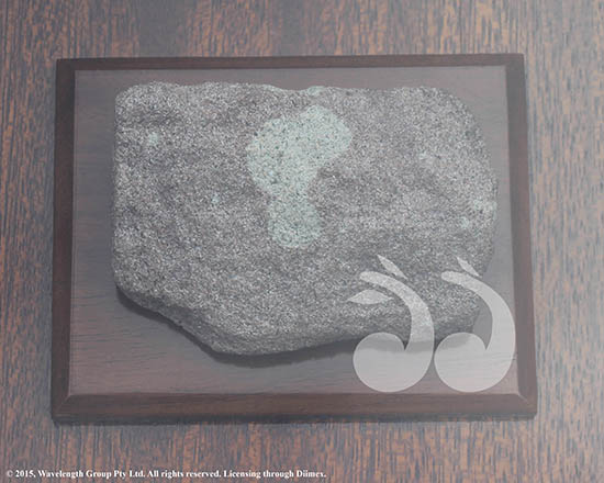 A piece of stone from the Annaty Burn, believed to the origin of the Stone of Scone. Provided by Lord Mansfield to the Scone Shire in 1971. Held at the Upper HunterShire Council Chambers.