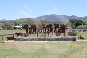 The Murrurundi sign at the sourther entrance of the town.