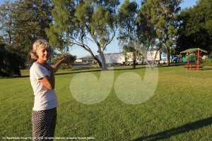 Sarah Howie, showing the path Muffett Street would take through Elizabeth Park, with the sheltered table being at the edge of the road.