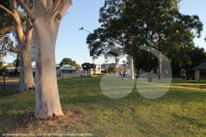 At least six feet would be taken from Elizabeth Park, these large gums would be taken out, with the Scone Mare and Foal sculpture moved to be in front of the toilets.