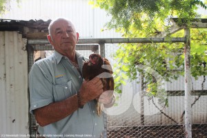 Darryl Moxey with one of his new hens