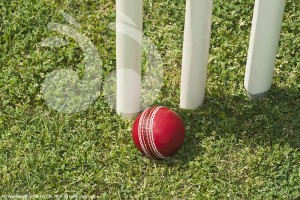 High angle view of a cricket ball near stumps