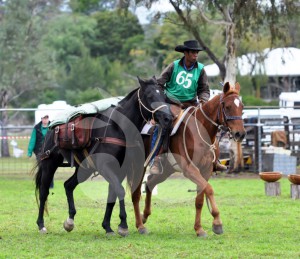 Gerald Aplin from Lawn Hill station, Queensland, competiting in the pack and saddle event at the King of the Ranges Stockman's Challenge in Murrurundi.