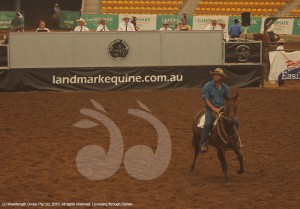 Rebound Vegas, ridden by Chris Bagnall, sold for $9,500 at the Landmark sale on the weekend.