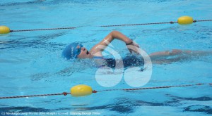 Skye Singleton swimming at the Small Schools Swimming Carnival in Murrurundi