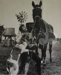 First female trainer of a horse in the Melbourne Cup: Betty Shepherd in Melbourne with Trevors and the guard dog Rastus.