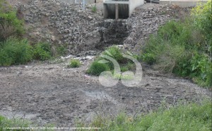The unlined septic pit at Scone sewerage treatment plant