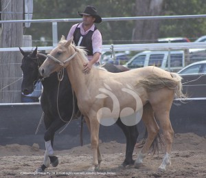 Bronson Macklinshaw, 2016 King of the Ranges after subduing his wild horse in the Wild Horse Catch event.