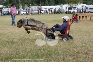 Murrurundi's Bridie Crowe takes the reins in the goat races