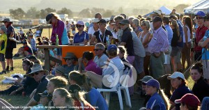 Enjoying the twighlight jumping at last year's horse trials