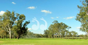 The third hole on the Scone golf course