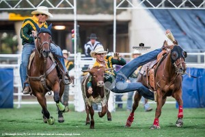 Heath Nichols launches from his horse Rocket while being hazed by Blake Hallam on his horse Slate. Sydney Royal Easter Show World Championship Campdraft.