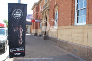 The new banners to fly in the main street