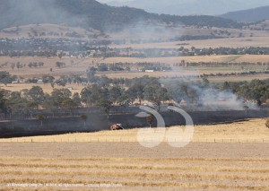 An extinguished grass fire near Scone. All permits for burning of are suspended tomorrow because of the very high fire danger.