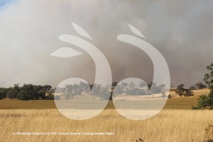 The grass fire at Bunnan is out of control