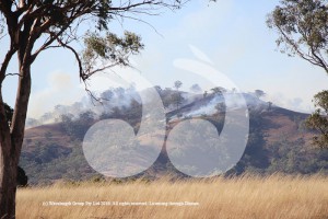 The smouldering hilltop from the Bunnan grass fire