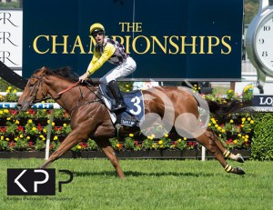 Clearly Innocent winning the Country Championships Final at Randwick, ridden by Tommy Berry.