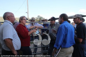 Joanne McLoughlin speaking with saleyard users after the induction including Tony Richardson in a checked shirt and Graham Emery in the royal blue shirt.