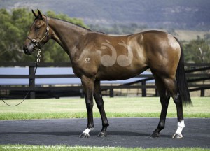 filly from Cressfield which was one of the first Frankel progeny at the sale, which fetched $850,000. A filly by Frankel and dam Jeu De Cartes and half-sister to Nom De Jeu.