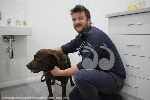 Veterinarian Andrew McClenahan with canine patient McQueen.