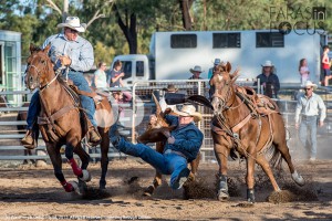 Greg Frewin hazing while Jade Smith wrestles a steer at the Scone Charity Rodeo. Photographer: Joan Faras.