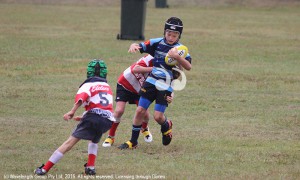 Scone Under-8’s player Archie Adkins holds his ground against Walcha.