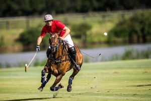 October 2016: Alec White, Scone Polo Club. Photographer: Stephen Mowbray.