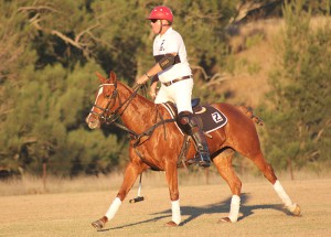 Glen Gilmore playing for Ellerston against Quirindi during the Muswellbrook Cup last weekend at the polo feilds, Gundy.