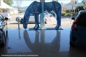 Big blue in Saunders Honda showroom for all to see.