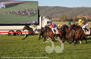 No 12 Pajaro with Tim Clark breaking through the middle on his run to the winning post.