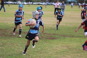 Under-8’s Will Darling on his way to score a try for Scone Gold, supported by Jock McCosker, Ted Saunders and Lachlan Winter.