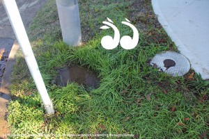 A leaking water pipe in Seaward Avenue, Satur.