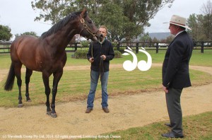 Barnaby Joyce, deputy Prime Minister, being shown "I Am Invincible" by Yarraman Park handler Matt Lawler.