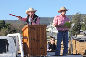 Auctioneer Zac Ede running the sale at White Park.