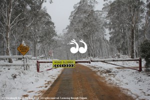 The Gloucester-Scone Road is closed over the Barrington due to snow and icy conditions.