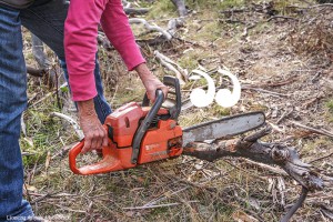 Women cutting wood with chainsaw