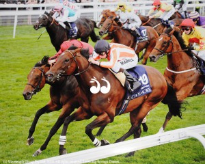 Ortensia winning a group 1 race at Nunthorpe Stakes at York in England.