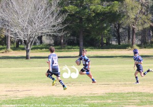 Riley Pennell scoring a try for Scone against Ourimbah at the Cauliflower Cup carnival.