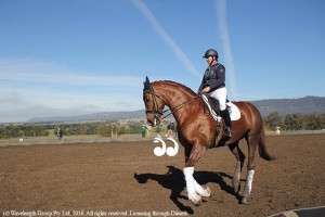 Lisa Martin putting First Famous through her paces before Rio.