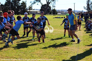 Matt Edwards on the attack against Narrabri.