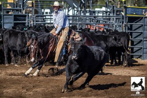 Geoff Saxby, president of the Hunter Valley Cutting Horse Club. Photography by Stephen Mowbray