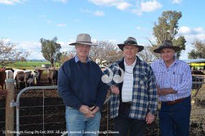 Upper Hunter Sustainable Farming Group members John Bigg, Kim Fenley and Col Bates discussing the paddock tour of sub-tropical pastures at Boggabri later this month.