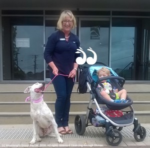 The dog, Linda (aka MacGyver) and the pram with baby Archie...all ended well.