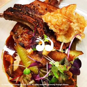 Being served at the Cottage, Scone: Merrifield Farm pork cutlet, caramelised apple sauce, fennel, apple, raadish and apple skin crisps.