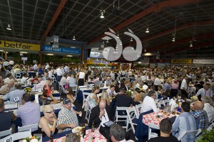 Buyers and sellers gather in the lead up to the Magic Millions on the Gold Coast. By Katrina Partridge Photography.