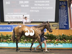The filly by I Am Invincible and Rich Megadale. Photo: Michael McInally, Magic Millions.