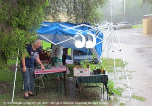 Blandford stallholder Ann Smith tries to salvage stock from the waterlogged stall at Murrurundi's washed out Australia Day celebrations.