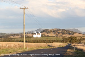 Electricity poles in Gundy: Ausgrid crews worked throughout the night to restore power to the Upper Hunter.