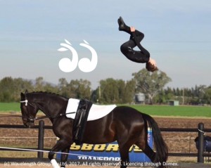 Justin Boyle performing a back somersault dismount at the Osbornes Transport Horse Festival Vaulting Competition last year.